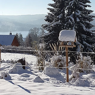 Výhled na Lipno ze zahrady
